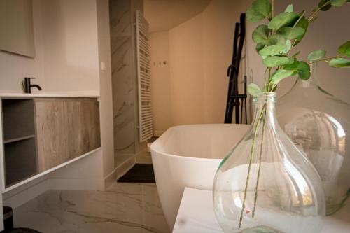 Facilities, Vins de Dagne in Montlaur Facilities, Vins de Dagne in Montlaur