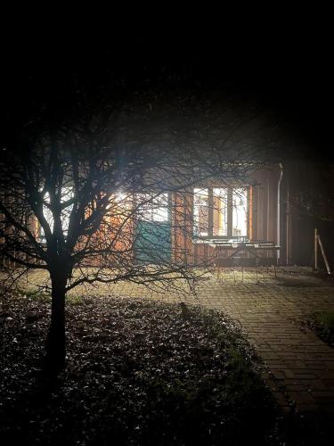 NEU Ferienwohnung Broockhof in Reimershagen NEU Ferienwohnung Broockhof in Reimershagen