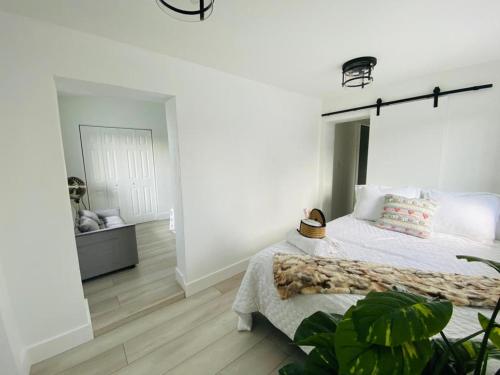 Dream House 4B/2B King Bed Miami Springs, FL in Hialeah (FL) Dream House 4B/2B King Bed Miami Springs, FL in Hialeah (FL)