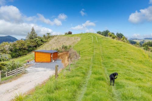 View, Nadarra Hideaway in Otorohanga View, Nadarra Hideaway in Otorohanga