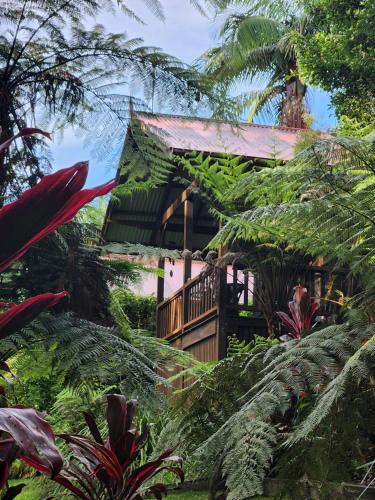 Koompartoo Retreat Bellingen in 貝靈恩 Koompartoo Retreat Bellingen in 貝靈恩