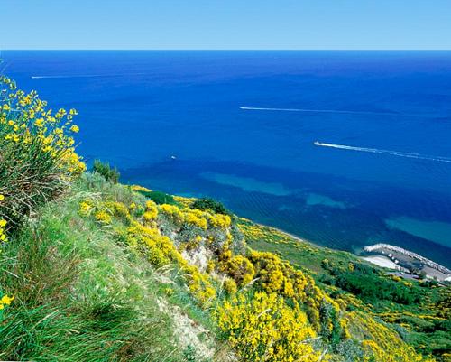 Appartamento al piano terra a Gabbice mare per grande compania in Marche Appartamento al piano terra a Gabbice mare per grande compania in Marche