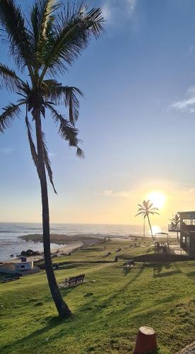 Strand, Pearly Shells in Scottburgh Strand, Pearly Shells in Scottburgh