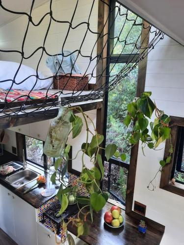 Tiny Home Trails End in Theescombe AH Tiny Home Trails End in Theescombe AH