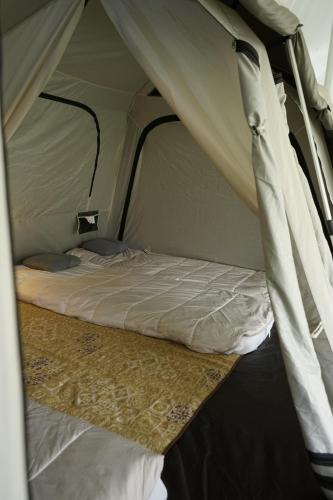 iGo Glamz 爱狗露营 Pet Friendly Glamping