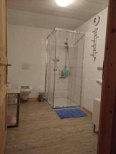 Shower, Muhlenhof in Stadtkyll Shower, Muhlenhof in Stadtkyll