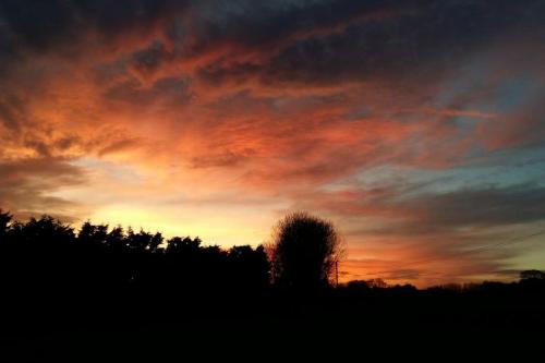 Wonderful rural dwelling- relax or explore Kent! in Chislet Wonderful rural dwelling- relax or explore Kent! in Chislet