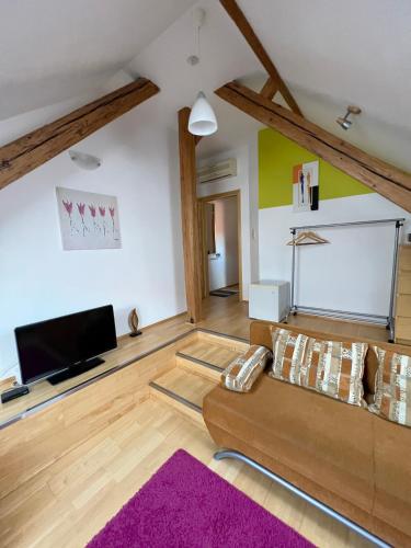 Penzion Viktoria in ซนอยโม Penzion Viktoria in ซนอยโม