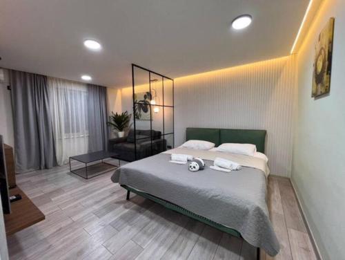 Room 32 in Dighomi Massive