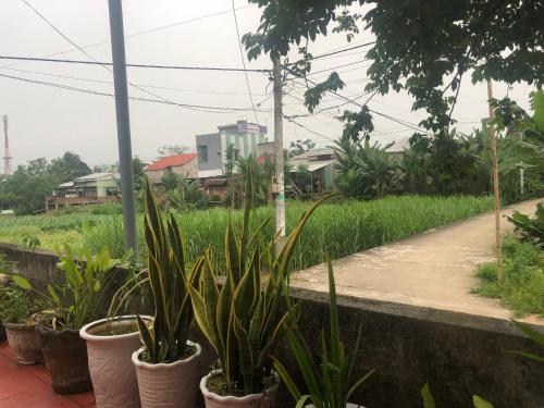 Cham homestay in Dong Luy Tay Cham homestay in Dong Luy Tay