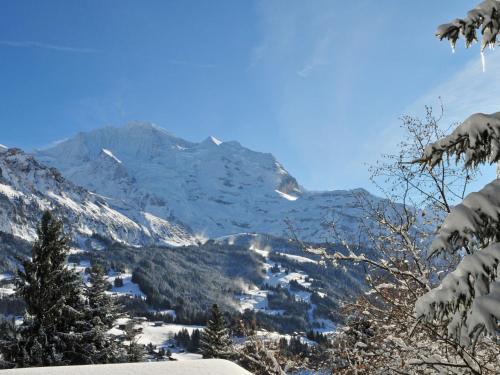 Apartment Melodie by Interhome in Wengen Apartment Melodie by Interhome in Wengen