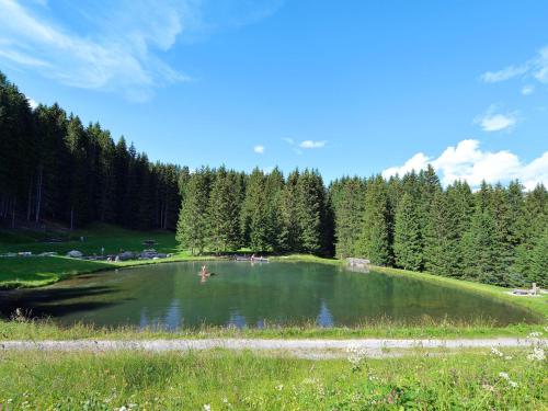 Holiday Home Superior Aclas Maiensass Resort in Tschappina Holiday Home Superior Aclas Maiensass Resort in Tschappina