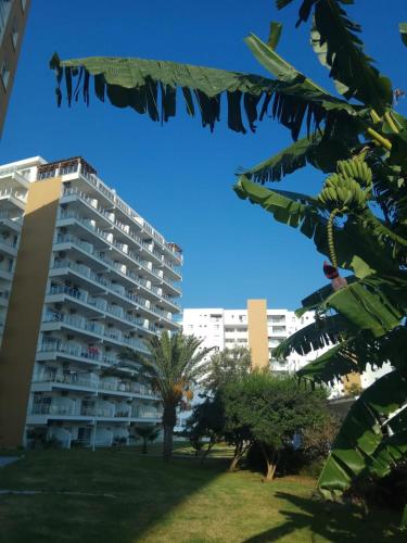 Northern Cyprus Trikomo, Iskele, Long Beach, Caesar Resort 4 in وسط المدينة Northern Cyprus Trikomo, Iskele, Long Beach, Caesar Resort 4 in وسط المدينة