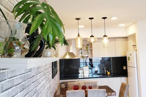 cuisine, PAZ Y ARMONÍA: un hogar lejos de casa! (PAZ Y ARMONIA: un hogar lejos de casa!) in Hernandarias cuisine, PAZ Y ARMONÍA: un hogar lejos de casa! (PAZ Y ARMONIA: un hogar lejos de casa!) in Hernandarias