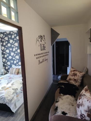 white black rooms in Hunedoara white black rooms in Hunedoara