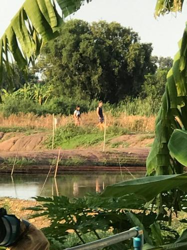 Countryside Rainbow Sweet Camp for You/pet* in Phanat Nikhom Countryside Rainbow Sweet Camp for You/pet* in Phanat Nikhom