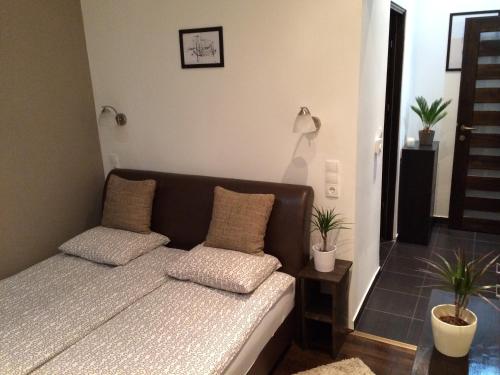 Central King Apartment