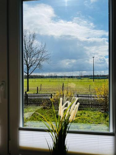 Kilátás, Helles Ferienhaus Storchenblick in Essel Kilátás, Helles Ferienhaus Storchenblick in Essel