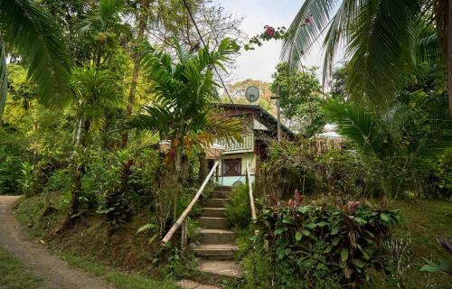 Exterior view, Sukia Hostel in Drake Bay Exterior view, Sukia Hostel in Drake Bay