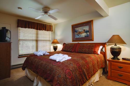 在meiguo.com看到的Timber Run by Steamboat Resorts的介绍图片