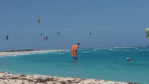 ספורט ופעילויות, Sun Sand & Sea Vacation Rental close to BABY BEACH , RODGER & BOCA GRANDI BEACH FOR KITE LOVERS in ארובה ספורט ופעילויות, Sun Sand & Sea Vacation Rental close to BABY BEACH , RODGER & BOCA GRANDI BEACH FOR KITE LOVERS in ארובה