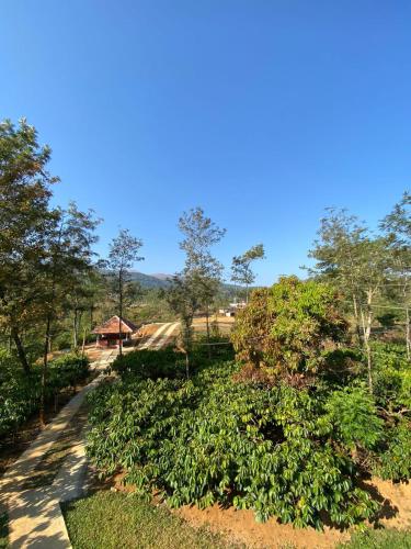 FernHills Homestay in Yevakapadi FernHills Homestay in Yevakapadi