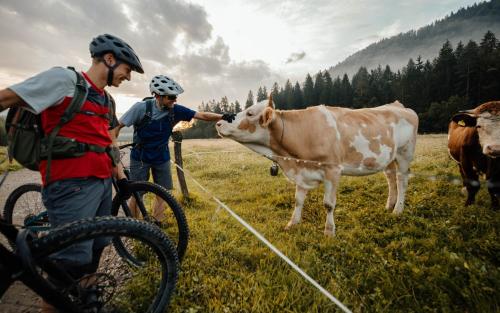Ribno Luxury Glamping in Bled Ribno Luxury Glamping in Bled