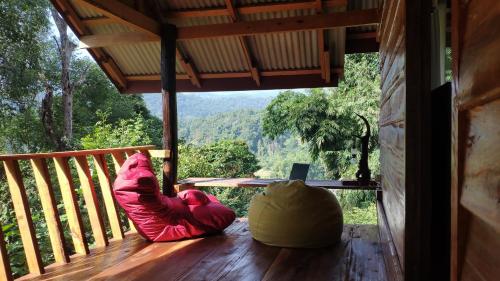 PeaMoo Homestay in Doi Inthanon PeaMoo Homestay in Doi Inthanon
