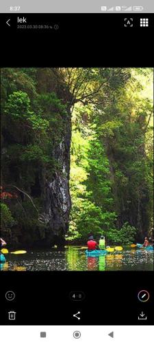 バン タラ ゲストハウス19