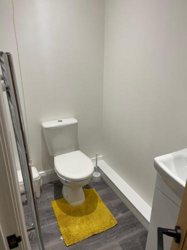 Bany, Large Room 2 in Bishopston Bany, Large Room 2 in Bishopston