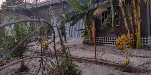Real Owl Apartments in Sanyang Real Owl Apartments in Sanyang