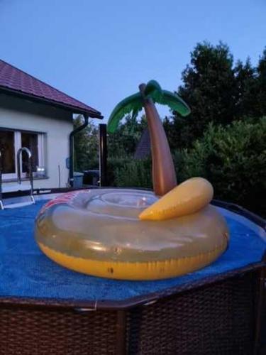 Úszómedence, Wohlfühloase (Wohlfuhloase) in Albrechts Úszómedence, Wohlfühloase (Wohlfuhloase) in Albrechts