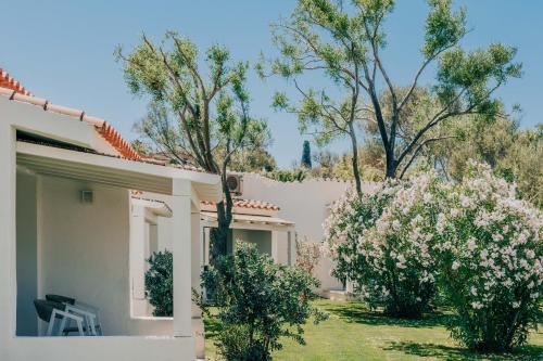 حديقة, AMASEA Resort in San Teodoro City Centre حديقة, AMASEA Resort in San Teodoro City Centre