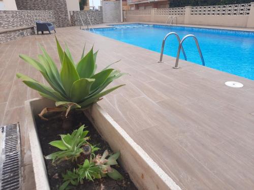 Apartamento a 100 metros de la playa con grande terraza y vistas al mar in 達伊穆茲 Apartamento a 100 metros de la playa con grande terraza y vistas al mar in 達伊穆茲