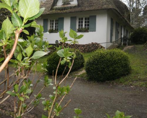 Le clos des muriers in Hautot-sur-Mer Le clos des muriers in Hautot-sur-Mer