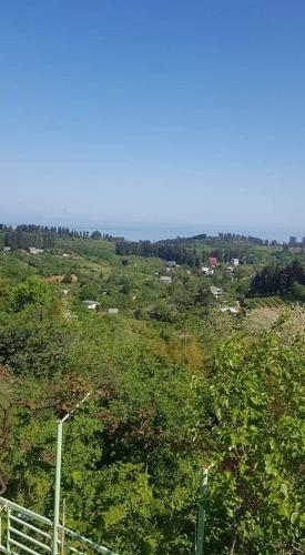 Hotel BT batumi სახალვაშო