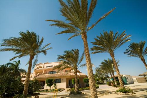 TOP Flamenco Beach and Resort El Quseir in El Quseir TOP Flamenco Beach and Resort El Quseir in El Quseir