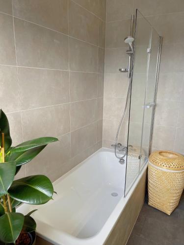 Appartement Très Cosy à 5 min Aéroport Genève (Appartement Tres Cosy a 5 min Aeroport Geneve) in فيرني فولتير Appartement Très Cosy à 5 min Aéroport Genève (Appartement Tres Cosy a 5 min Aeroport Geneve) in فيرني فولتير