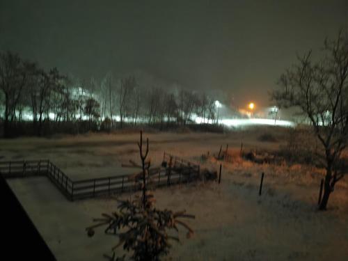 Pensiunea La Nenea Iancu in Pianu De Jos Pensiunea La Nenea Iancu in Pianu De Jos