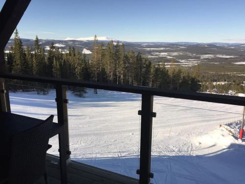 Björnrike Vemdalen. Mitt i backen (Bjornrike Vemdalen. Mitt i backen) in 韋姆達倫 Björnrike Vemdalen. Mitt i backen (Bjornrike Vemdalen. Mitt i backen) in 韋姆達倫