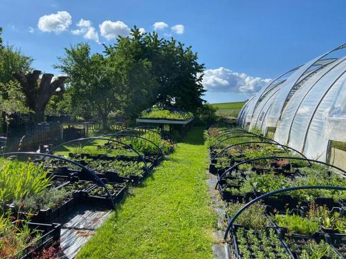 Krauterhaus - herbgarden in ไคลนิช Krauterhaus - herbgarden in ไคลนิช