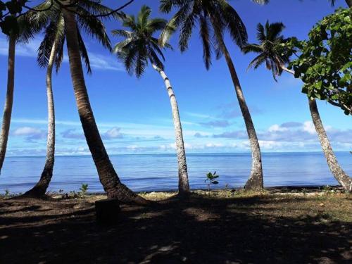 Go Native Fiji Beach House in Savusavu Go Native Fiji Beach House in Savusavu