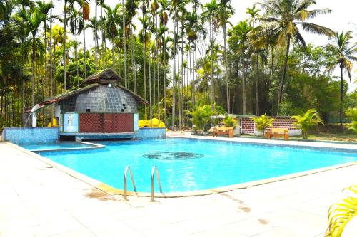 Swimming pool, STAYMAKER Bird Of Paradise near Namdroling Monastery Swimming pool, STAYMAKER Bird Of Paradise near Namdroling Monastery