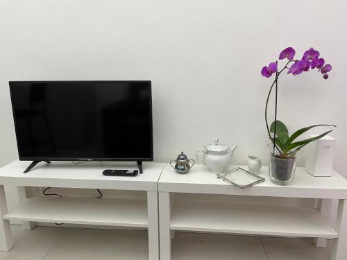 Studio Artis Piazza di Spagna