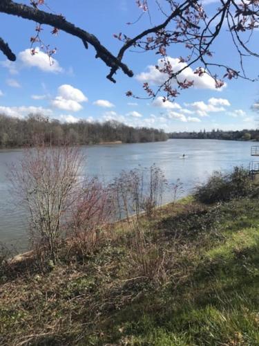 Les Bambous in Poissy Les Bambous in Poissy