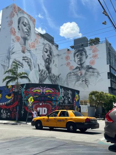 Wynwood Beds in Miami (FL) Wynwood Beds in Miami (FL)