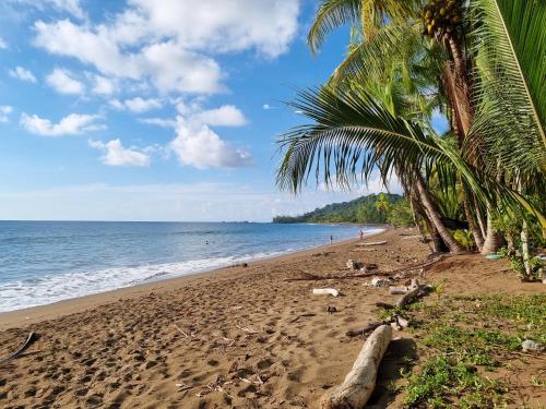 شاطئ, Cabinas Pura Vida B&B and Tour Operator in Drake Bay شاطئ, Cabinas Pura Vida B&B and Tour Operator in Drake Bay