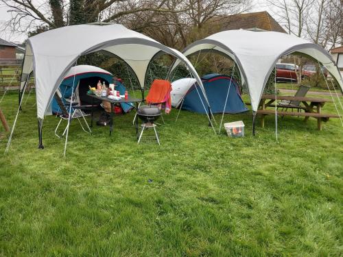Basic 2p tent Sotterum in Leeuwarden Basic 2p tent Sotterum in Leeuwarden