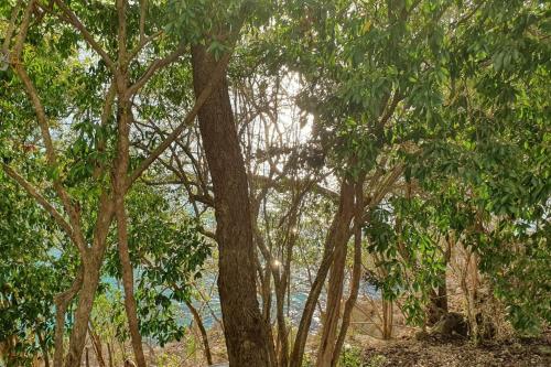 Kilátás, Bellavista - Blue Lizard Studio in Providencia Kilátás, Bellavista - Blue Lizard Studio in Providencia