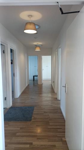 Jey's Flat in Edge Hill Jey's Flat in Edge Hill